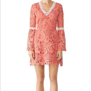 Alexia Admor Pink Contrast Lace Dress. Like new condition. Backless.